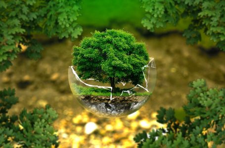 Realizzare il “Green New Deal” dell’Unione europea. In campo il programma “Life 2021-2027” per 5.4 miliardi di euro