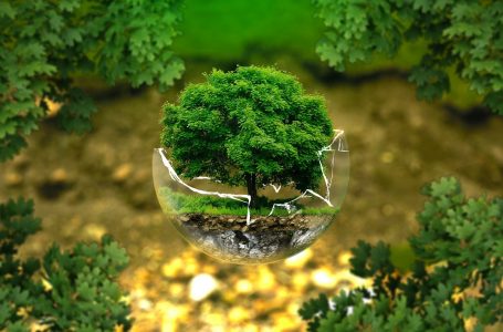 Biodiversità. Il Parlamento Europeo ha adottato una risoluzione: dovere di diligenza obbligatorio per la tutela e inclusione dell’ecocidio e del diritto delle generazioni future nel diritto ambientale internazionale