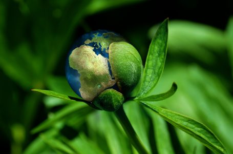 In Costituzione la tutela dell’ambiente. Il voto della Camera