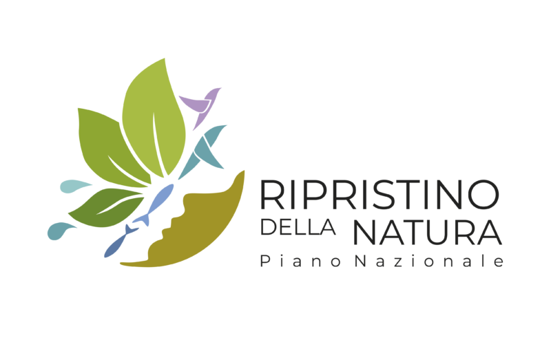 Piano di ripristino della natura e edilizia: cosa cambia per costruzioni, rigenerazione urbana e territorio
